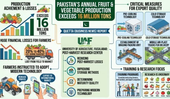 پاکستان میں پیداہونیوالے پھلوں و سبزیوں کی سالانہ پیداوار 16ملین ٹن سے تجاوز کر گئی