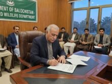 بلوچستان میں درختوں کی کٹائی پر ایک سال کے لئے مکمل پابندی عائد، متعلقہ حکام کو نوٹیفکیشن پرعملدرآمد کی ہدایت