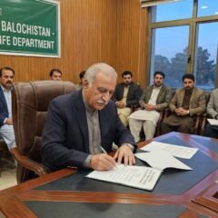 بلوچستان میں درختوں کی کٹائی پر ایک سال کے لئے مکمل پابندی عائد، متعلقہ حکام کو نوٹیفکیشن پرعملدرآمد کی ہدایت