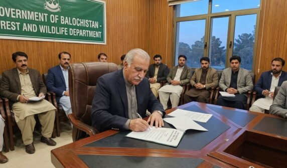 بلوچستان میں درختوں کی کٹائی پر ایک سال کے لئے مکمل پابندی عائد، متعلقہ حکام کو نوٹیفکیشن پرعملدرآمد کی ہدایت