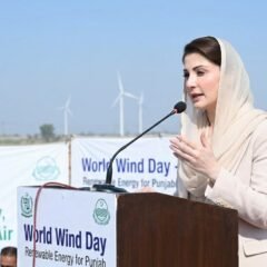 نئی نسل کو صحتمند، پاکیزہ اور معطر ہوائیں دینا چاہتے ہیں: مریم نواز شریف