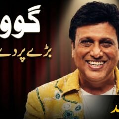 گوونداکی 7 سال بعد بڑے پردے پر واپسی کیلئے تیاری
