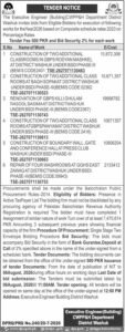 Executive  Engineer   Building  CWPP&H  Department  District   Washuk