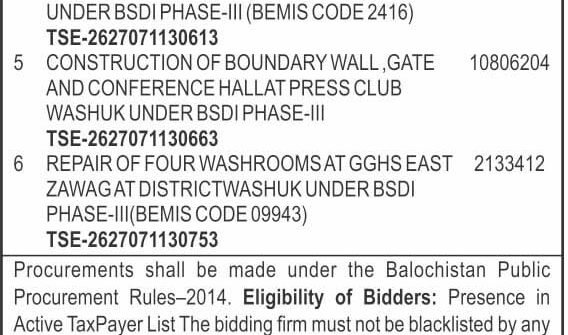 Executive Engineer Building CWPP&H Department District Washuk