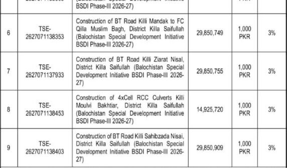 Executive Engineer (Roads) CW, PP&H Department District Killa Saifullah